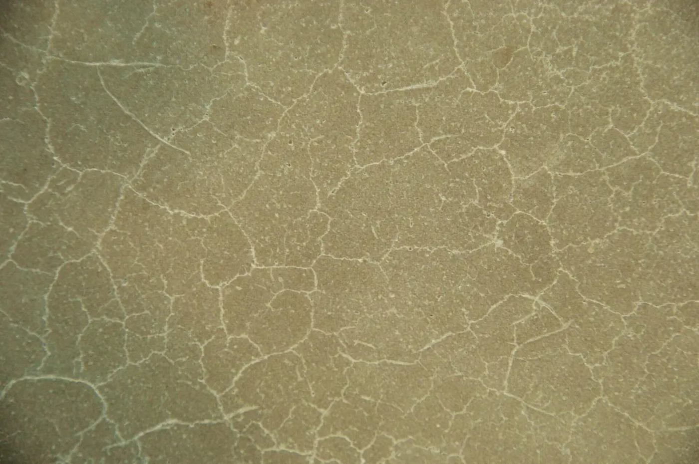 A network of fine hairline cracks across a concrete floor